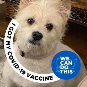 Meet your Posher, Lynn